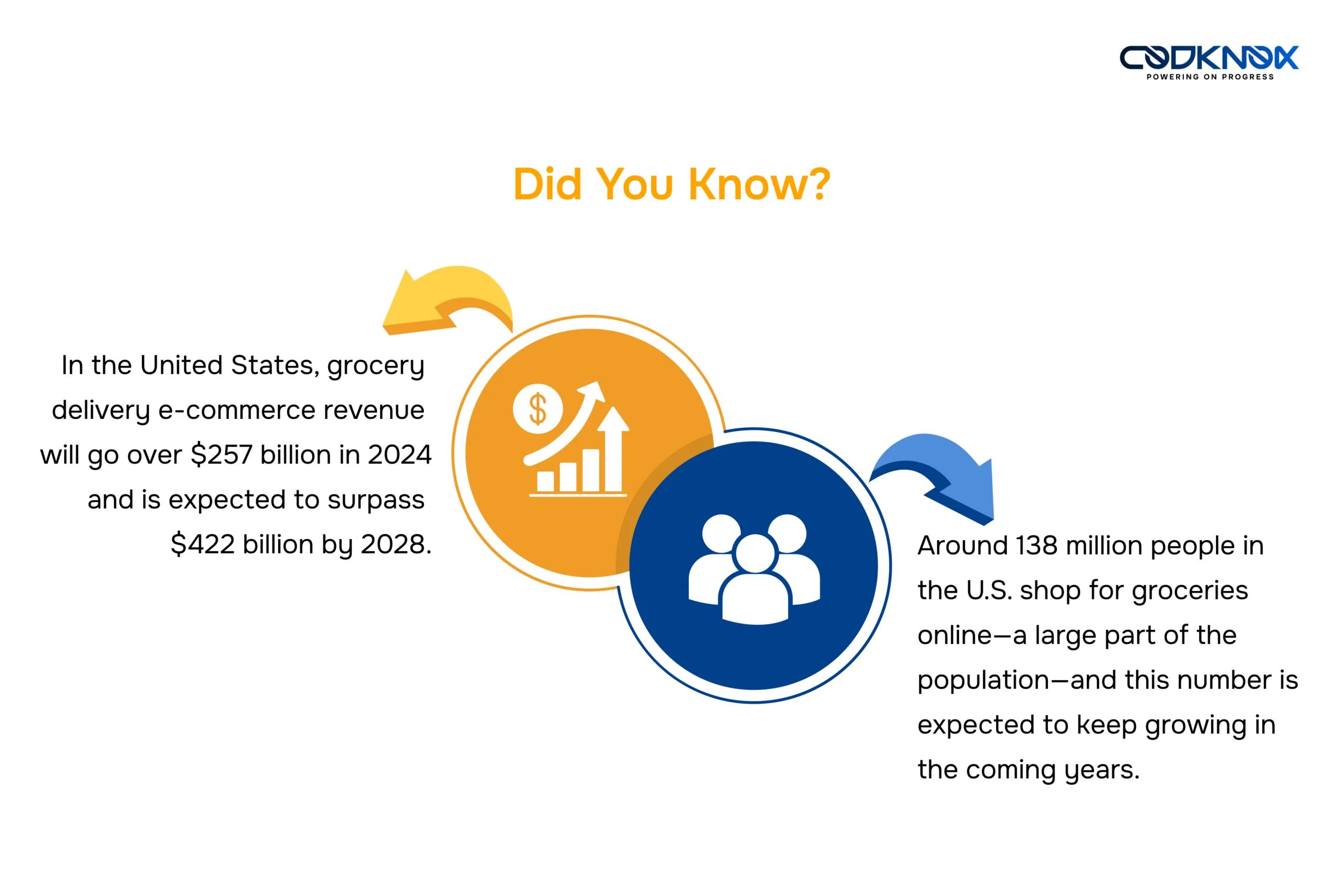 grocery delivery e-commerce revenue