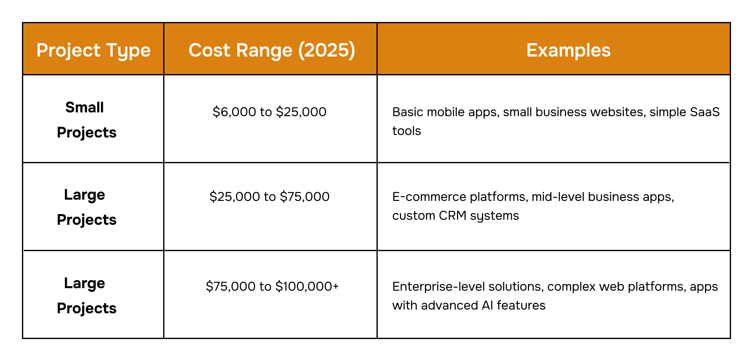 Custom Software Development Costs in 2025